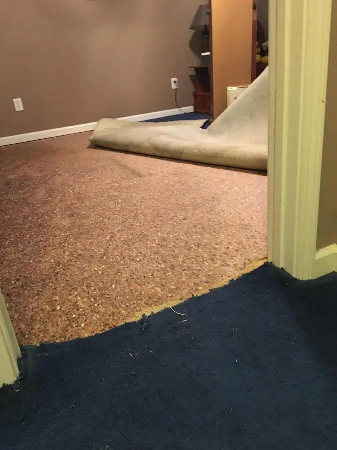 Carpet pad removal revealing water damage during Water Mitigation Services in Homestead