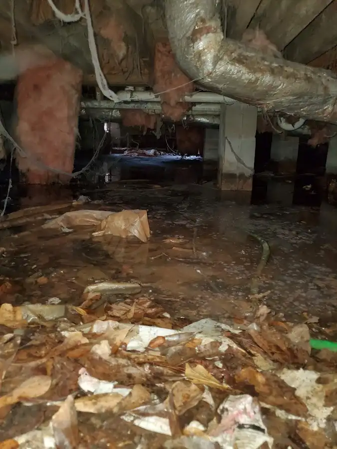 Crawl space flood assessment for Leak Detection & Repair in Homestead