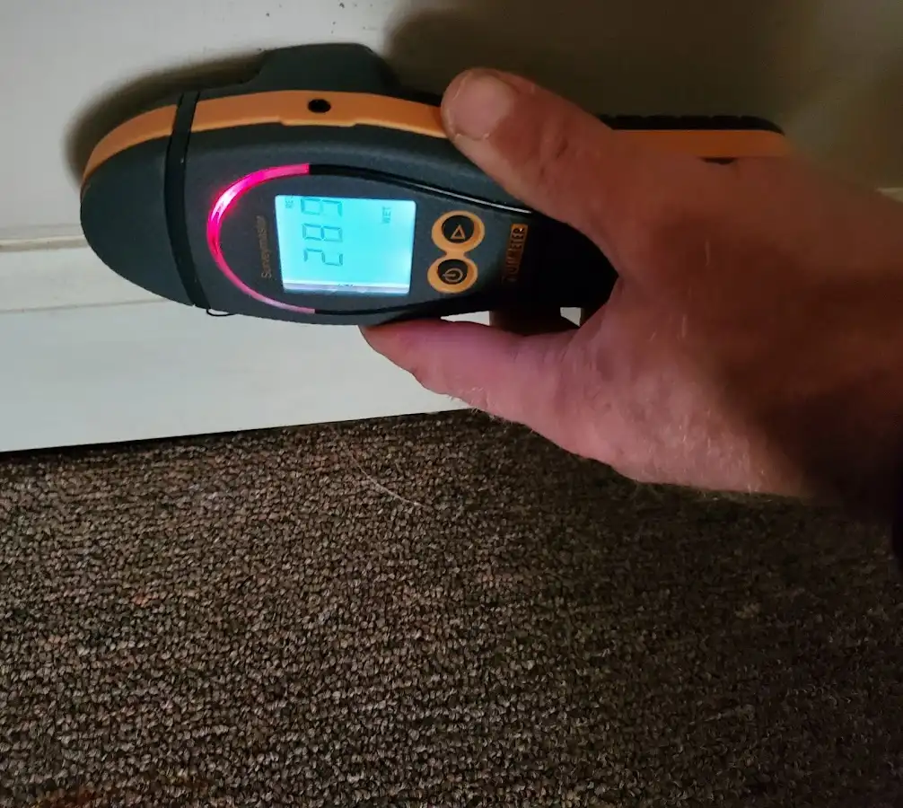 Moisture detection at baseboard during Mold Inspection & Testing in Homestead
